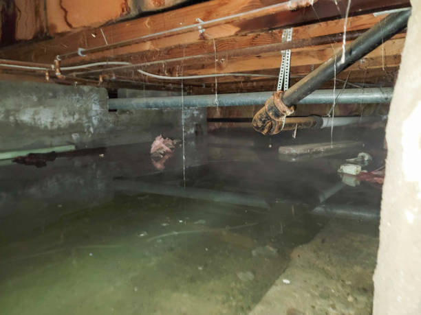 Best Residential water damage restoration  in Sparta, TN