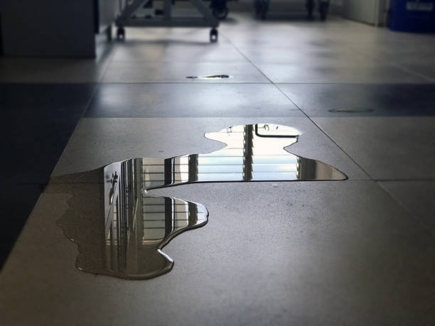 Best Commercial water damage restoration  in Sparta, TN