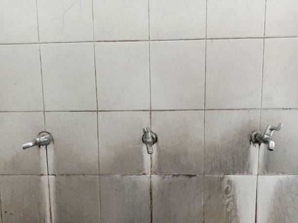 Local water damage restoration in TN