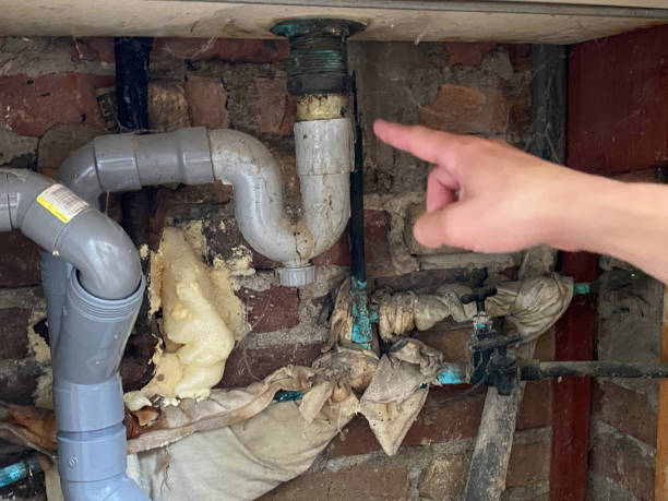 Best Water damage restoration insurance claims  in Sparta, TN